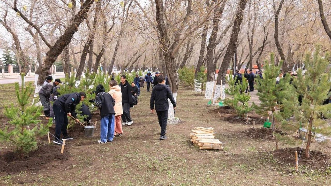 «Таза Қазақстан»: Қарағандыда бір күнде 400 ағаш отырғызылды